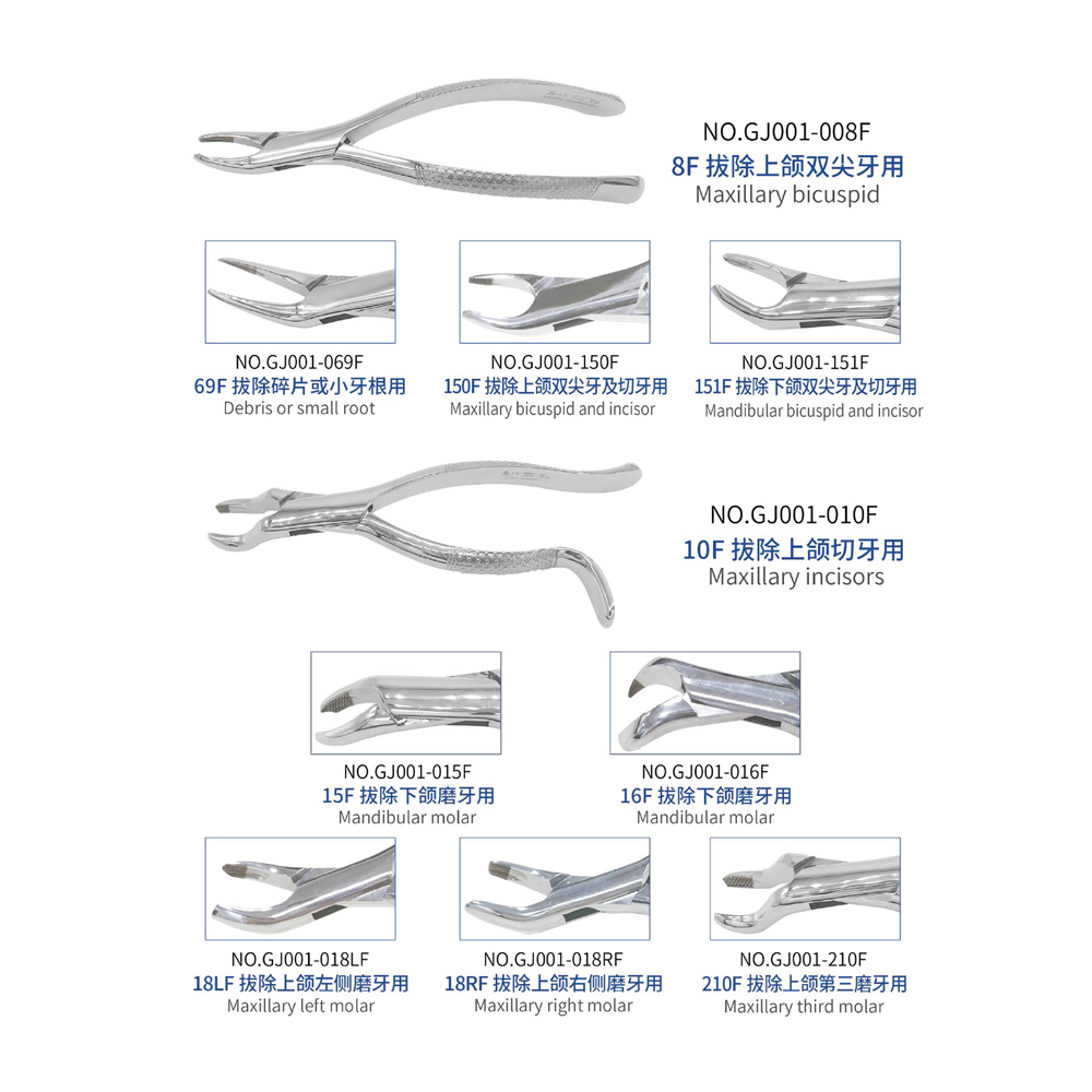 Non-slip tooth forceps for adults, Dental Instrument